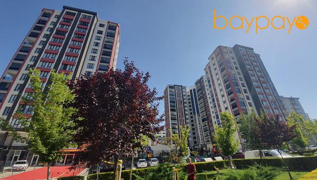 Baypayo Alman Grubu Kalorimetre — Bayi Referansı